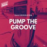 Artwork voor "Pump the Groove"