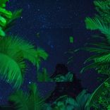 Artwork for "Starlight Voyage"