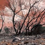 Artwork für "Destructive"