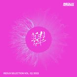 Artwork for "Redux Selection, Vol. 12 / 2022"