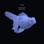 Artwork voor "Carpe Diem"