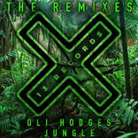 Artwork for "Jungle (The Remixes)"