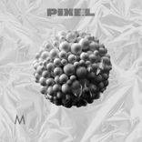 Portada para "Pixel"