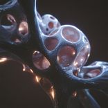 Artwork voor "Distant Grain"