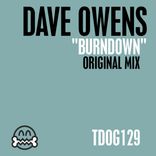 Portada para "Burndown"