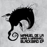 Portada para "Blackbird"
