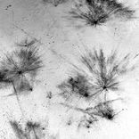 Wrong Bag (Original Mix)