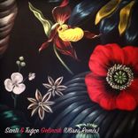 Artwork for "Gelincik (Ulises Remix)"