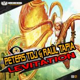 Artwork voor "Levitation"