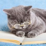 Artwork for "Sleepy Journey"