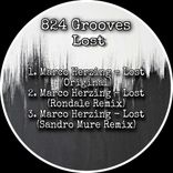 Artwork for "824 Grooves Lost"