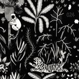 Artwork for "Angola Drums"