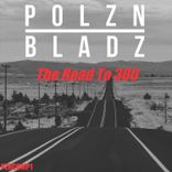 Artwork for "The Road to 300"