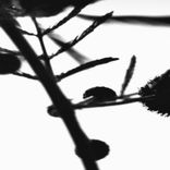 Artwork for "Outlines"