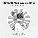 Artwork voor "Latin Waves"