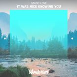 Artwork for "It Was Nice Knowing You"