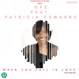 Artwork for "When You Fall In Love (Opz Dub Mix)"