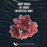 Artwork for "The Orchid"