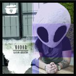 Slave Of A Reflection