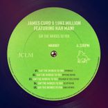 Artwork voor "Say The Words To You (feat. Nah Man!)"