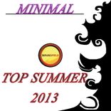 Artwork voor "Minimal Top Summer 2013"