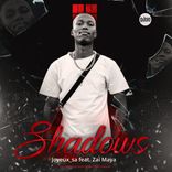 Portada para "Shadows"