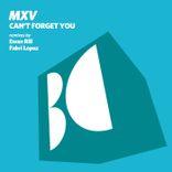 Artwork for "Can't Forget You"