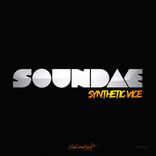 Artwork voor "Synthetic Vice"