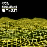 Artwork for "Big Tings EP"