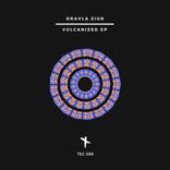 Artwork für "Vulcanized EP"