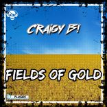 Artwork für "Fields Of Gold"