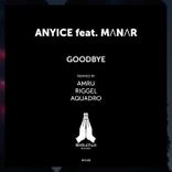 Artwork for "Goodbye"