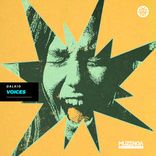 Artwork for "Voices"