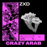 Artwork for "Crazy Arab"