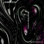 Artwork for "Distortion"