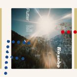 Portada para "Flutter"