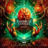 Cybernetic Changes