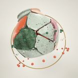 Artwork voor "Solid"