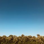 Artwork for "Harmony Texture"