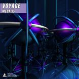 Artwork for "Voyage"