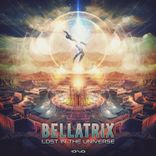 Lost in the Universe