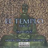 Artwork for "Imagina (El Templo), Vol. 2"