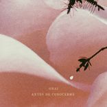 Artwork voor "Antes De Conocerme"