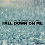 Artwork voor "Fall Down On Me"