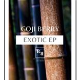 Artwork for "Exotic"