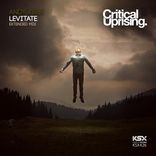 Artwork for "Levitate"