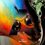 Artwork voor "Sky Jungle"