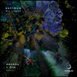 Artwork voor "No Light"