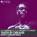 Artwork für "Taken By Dreams (The Kenny Carpenter Shelter NYC Remix)"
