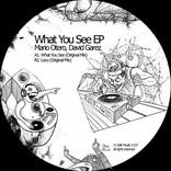 Artwork for "What You See EP"